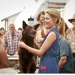 Fotoğraf Rachael Taylor