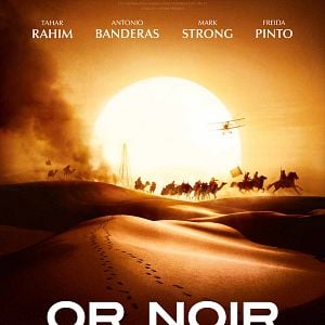 Fotoğraf Kara Altın