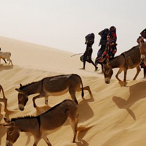 Fotoğraf Nathalie Borgers