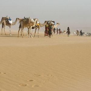Fotoğraf Nathalie Borgers
