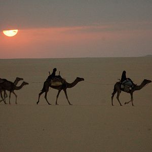 Fotoğraf Nathalie Borgers