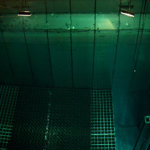 Fotoğraf Michael Madsen (II)