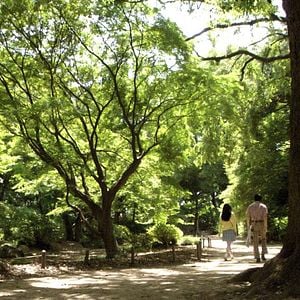 Fotoğraf İmkansızın Şarkısı