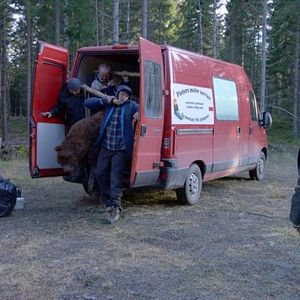 Fotoğraf Troll Avı