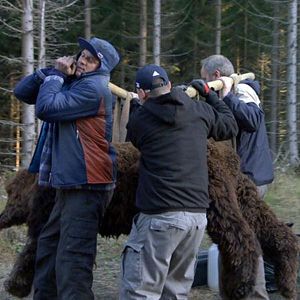 Fotoğraf Troll Avı