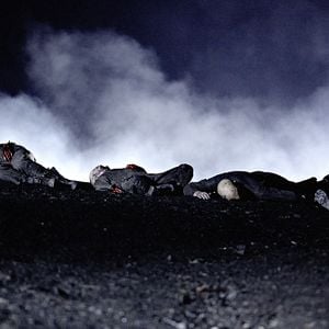 Fotoğraf Ölüm Çiftliği