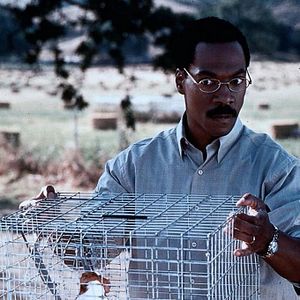 Fotoğraf Dr. Dolittle