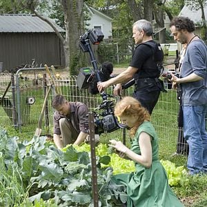 Fotoğraf Hayat Ağacı