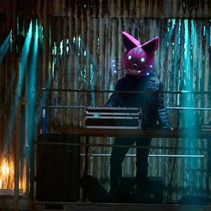 Fotoğraf Nick Thurston