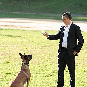 Fotoğraf Person Of Interest