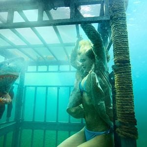 Fotoğraf Katil Köpekbalığı