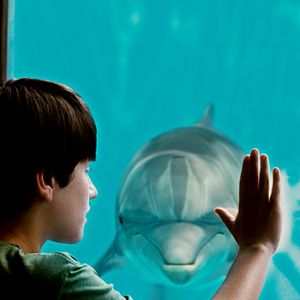 Fotoğraf Nathan Gamble