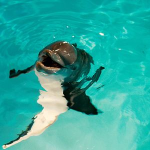 Fotoğraf Charles Martin Smith