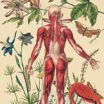 Fotoğraf İçinde Yaşadığım Deri