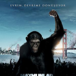 Fotoğraf Maymunlar Cehennemi: Başlangıç
