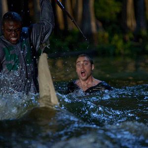 Fotoğraf Katil Köpekbalığı