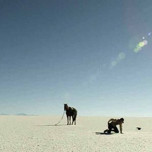 Fotoğraf Blackthorn