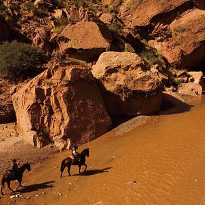 Fotoğraf Blackthorn