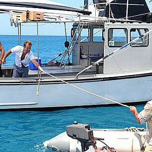 Fotoğraf Alex O'Loughlin