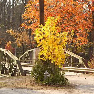 Fotoğraf Timothy Green'in Sıradışı Yaşamı