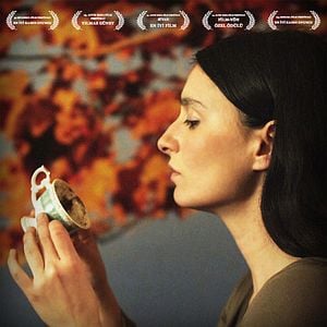 Fotoğraf Şimdiki Zaman