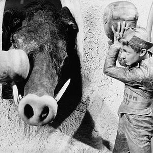 Fotoğraf Kurt Schmidtchen