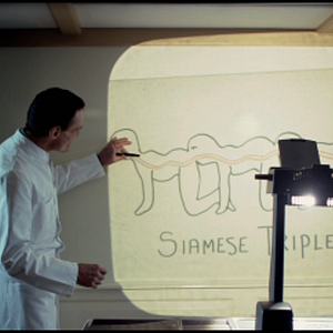 Fotoğraf The Human Centipede