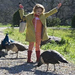 Fotoğraf Düşler Bahçesi