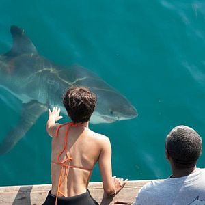 Fotoğraf John Stockwell