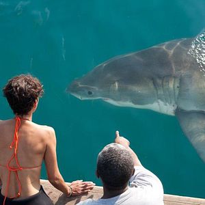 Fotoğraf John Stockwell