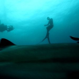 Fotoğraf John Stockwell