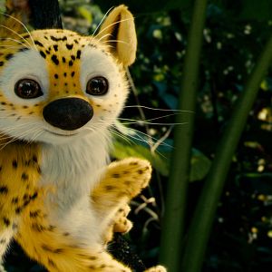 Fotoğraf Uzun Kuyruk