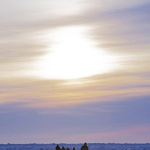 Fotoğraf Andrew Okpeaha MacLean