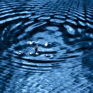 Fotoğraf Marie Pérennou