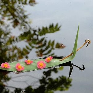 Fotoğraf Marie Pérennou