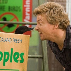 Fotoğraf Love Birds