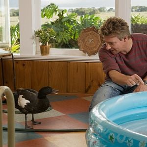 Fotoğraf Love Birds