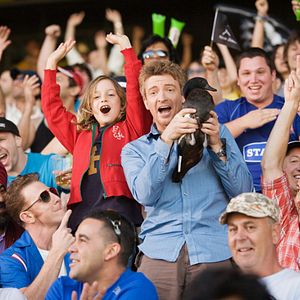 Fotoğraf Love Birds