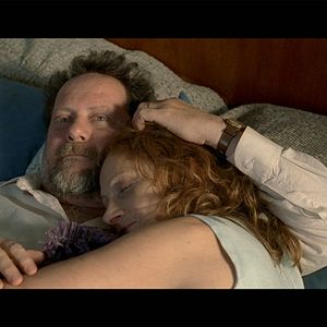 Fotoğraf Kaybolan Kedi