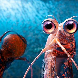 Fotoğraf Neşeli Ayaklar 2