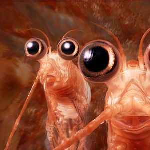 Fotoğraf Neşeli Ayaklar 2