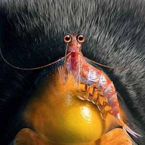 Fotoğraf Neşeli Ayaklar 2