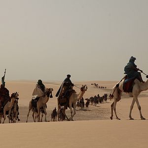 Fotoğraf Kara Altın