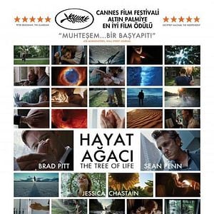 Fotoğraf Hayat Ağacı