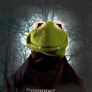 Fotoğraf The Muppets