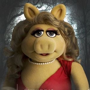 Fotoğraf The Muppets