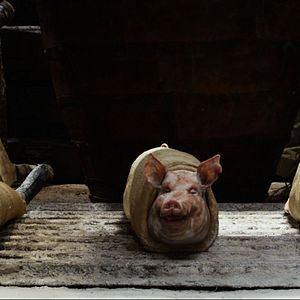 Fotoğraf Dev Avcısı Jack