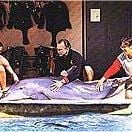 Fotoğraf Yunusların Günü