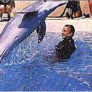 Fotoğraf Yunusların Günü