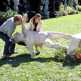 Fotoğraf Darısı Başıma